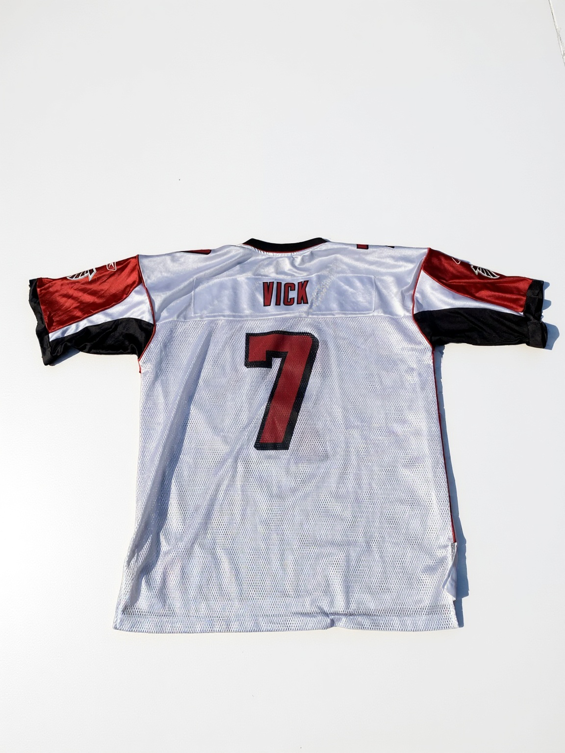 Michael Vick