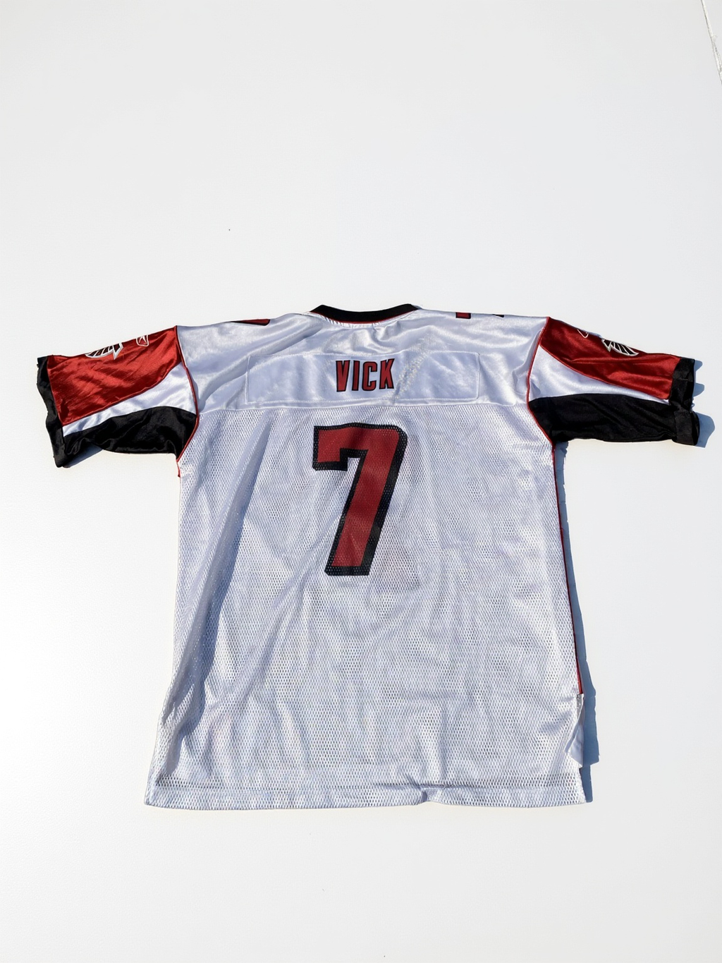 Michael Vick